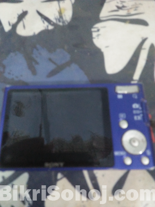 Sony Digital Camera
